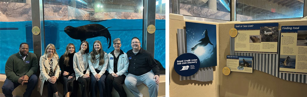 Group of people sitting in front of sea lion at the MN Zoo