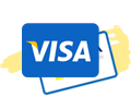 visa icon